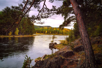 Picture